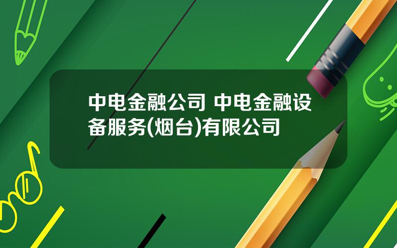 中电金融公司 中电金融设备服务(烟台)有限公司